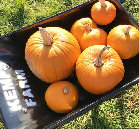 Pumpkins