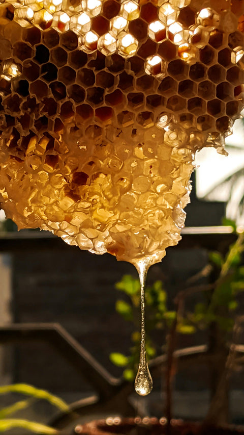 Jams, Preserves & Honey