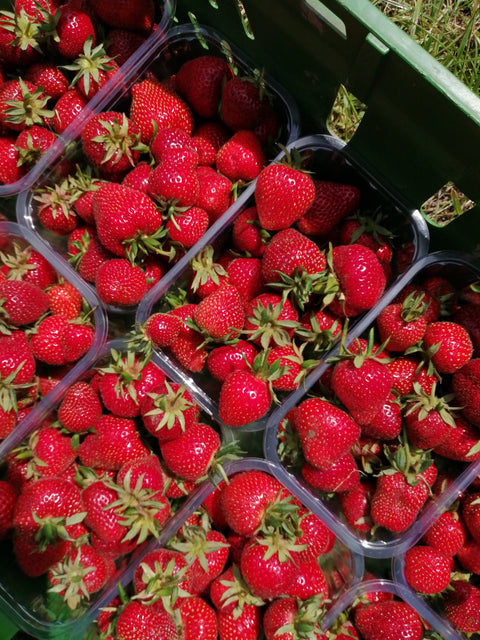 What's in season